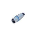 Nlt4mx 2025
